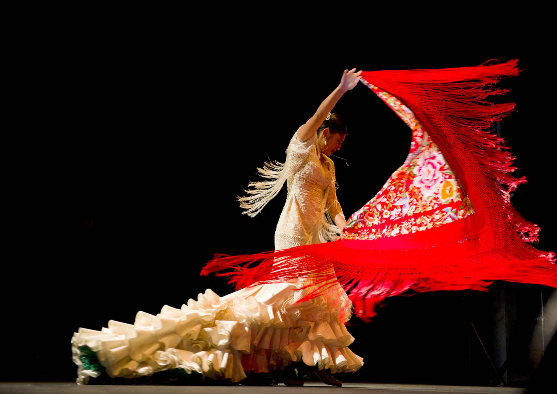 Resultado de imagen de bailaora flamenco