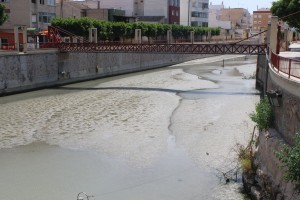El río Segura el pasado martes a su paso por Rojales 