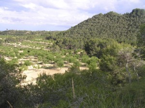 Sierra Escalona