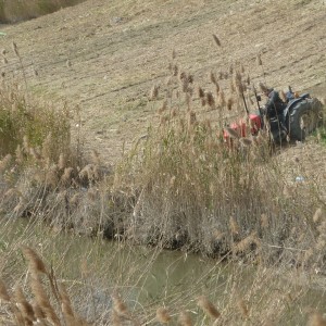 Agricultura/Medio Ambiente