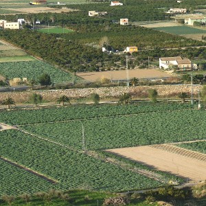 Agricultura/Medio Ambiente