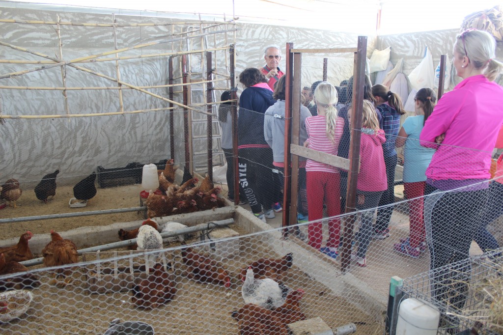 Visita de escolares del museo de Rojales y a los gallineros de  Huerta Viva 