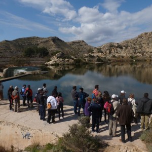 Agricultura/Medio Ambiente