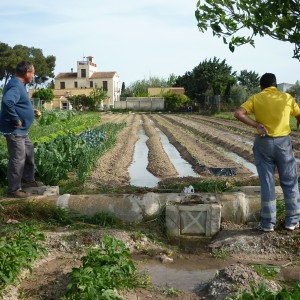 Agricultura/Medio Ambiente