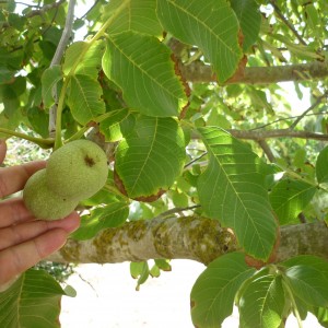 Agricultura/Medio Ambiente