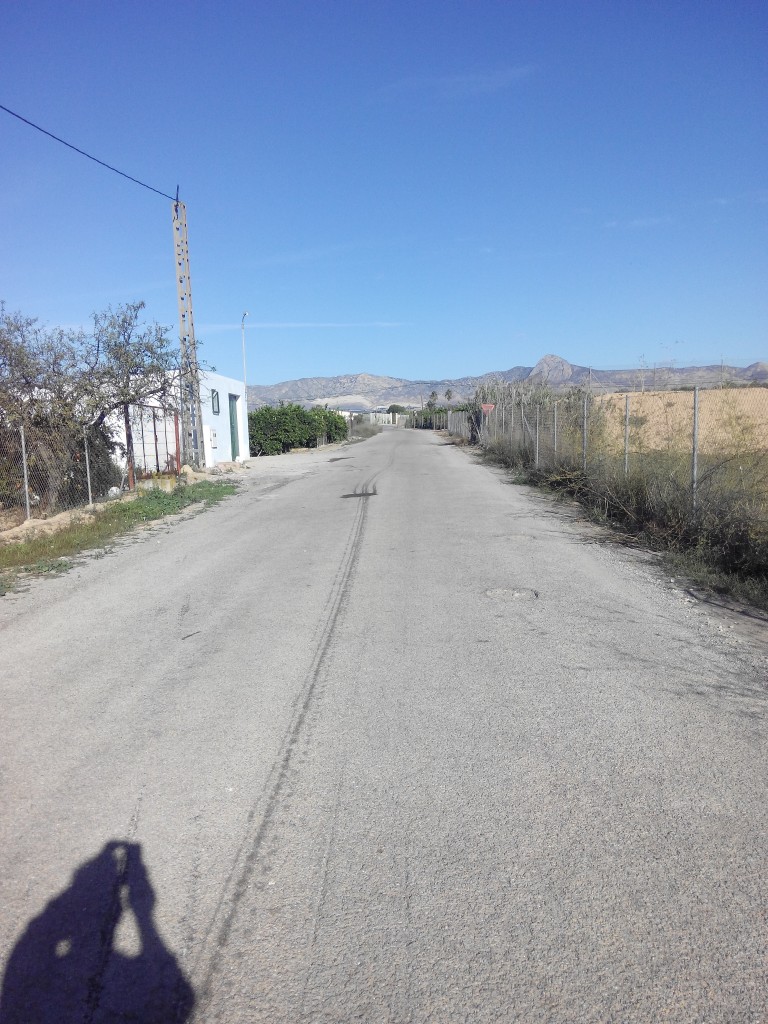 Camino Vega Baja 2015