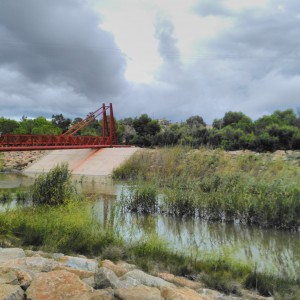 Agricultura/Medio Ambiente