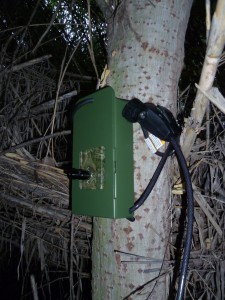 Foto 1 Detector murcielagos ANABAT instalado FRobledano