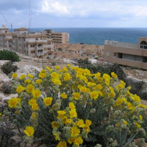 Agricultura/Medio Ambiente