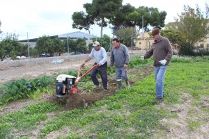 Formación en trabajos agrícolas en Huerta Viva 
