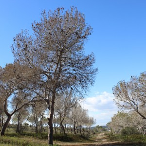 Agricultura/Medio Ambiente