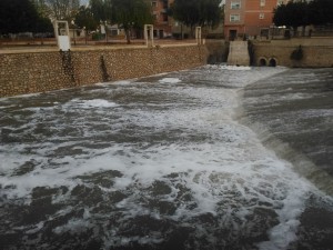 El rio Segura en Rojales a las 19.30 horas de hoy 