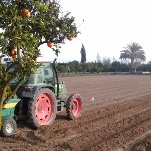 Agricultura/Medio Ambiente