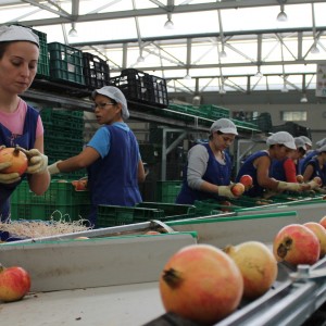 Agricultura/Medio Ambiente