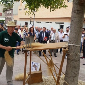 Agricultura/Medio Ambiente