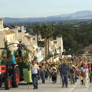 Municipios Vega Baja