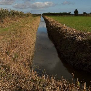 Agricultura/Medio Ambiente