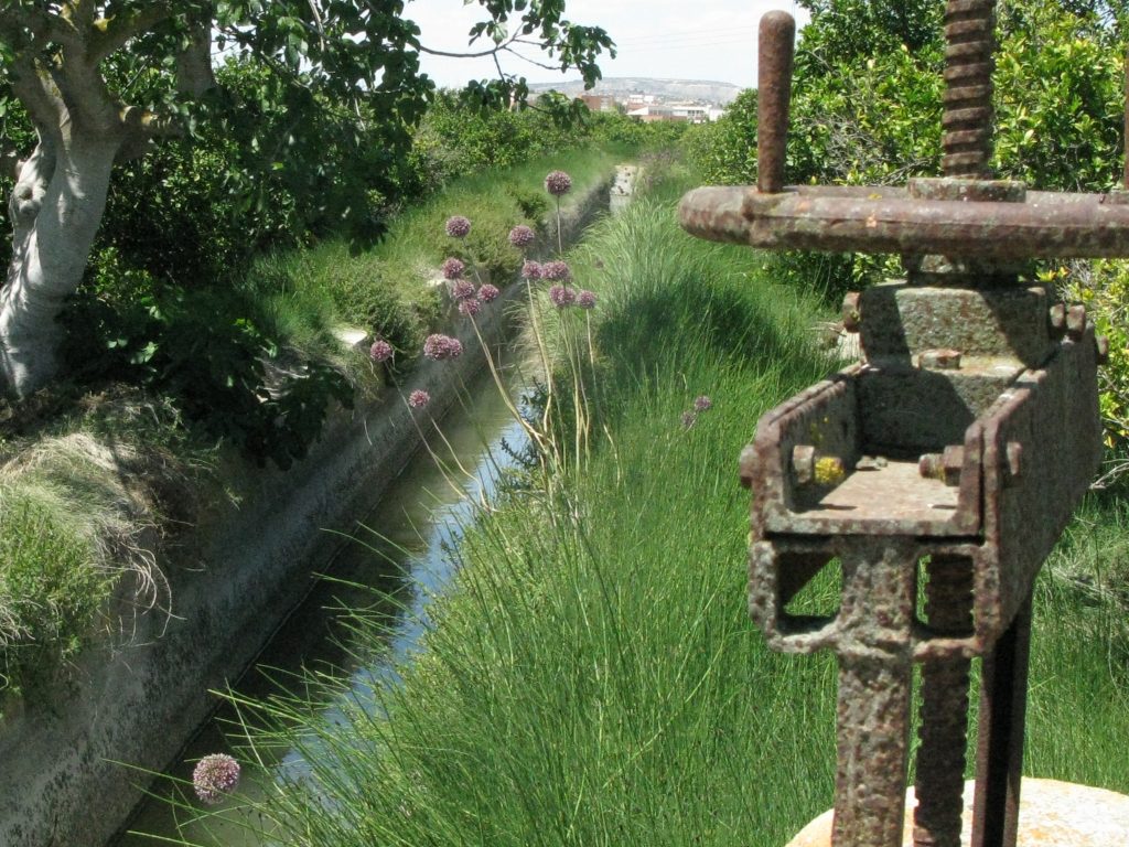 Acequia de la huerta.foto E.D.G.