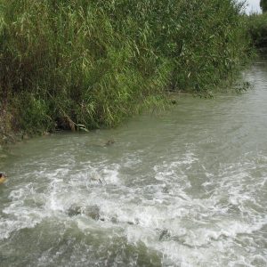 Agricultura/Medio Ambiente