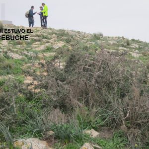 Agricultura/Medio Ambiente