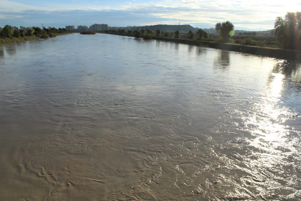 El Segura, hoy en Guardamar