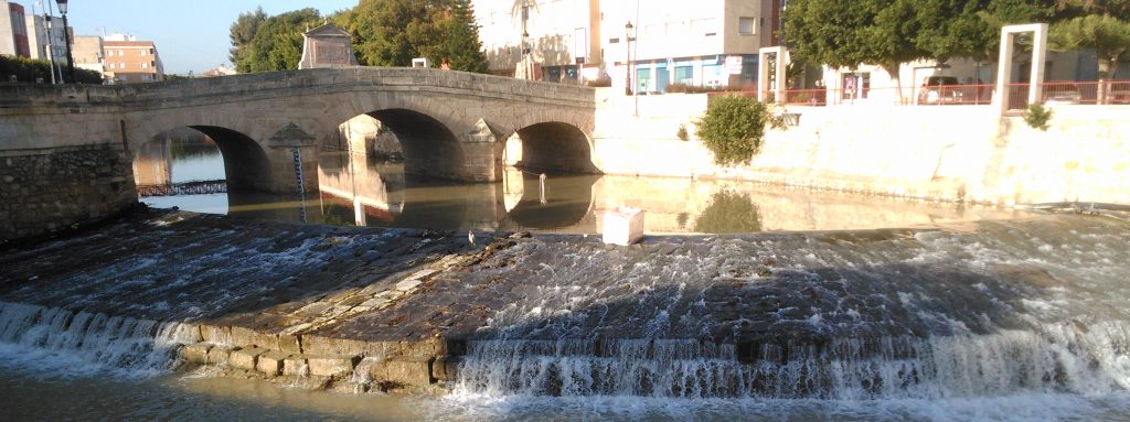 El río Segura hoy 