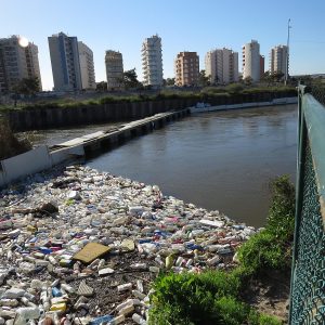 Agricultura/Medio Ambiente