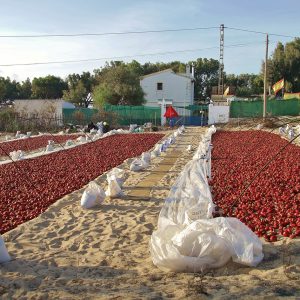 Agricultura/Medio Ambiente