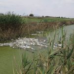 Agricultura/Medio Ambiente