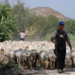 Agricultura/Medio Ambiente