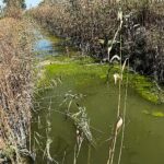 Agricultura/Medio Ambiente