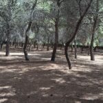 Agricultura/Medio Ambiente
