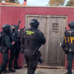 La Guardia Civil desmantela una plantación de marihuana con 262 plantas en una vivienda de San Miguel de Salinas Editorial-Opinión-Quejas