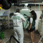 La investigación por delitos contra un matrimonio de avanzada edad y vulnerable destapa un laboratorio de drogas clandestino en La Marina Sucesos Tribunales