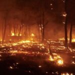 ESPAÑA SE QUEMA…Y LA HISTORIA SE REPITE. Alejandro Bernabé, geógrafo y concejal en Rojales Agricultura/Medio Ambiente